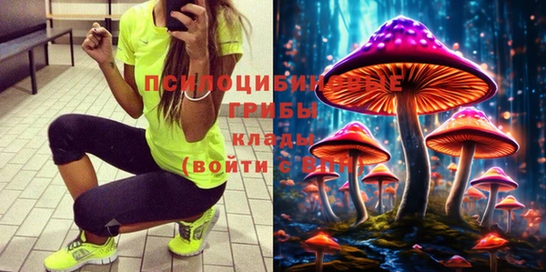 PSILOCYBIN Богородск