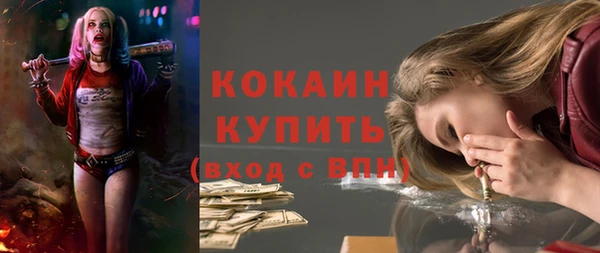 хмурый Богородицк