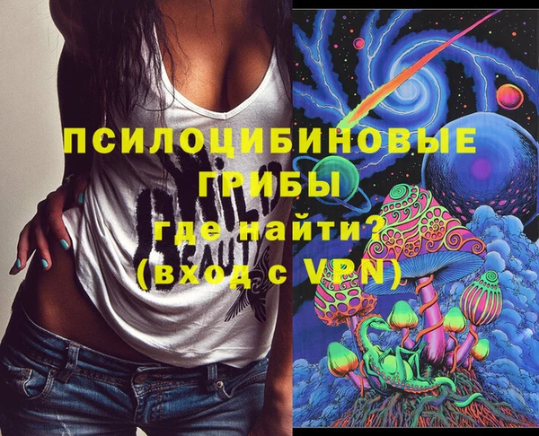 хмурый Богородицк
