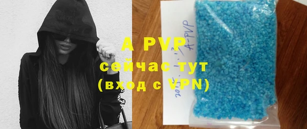 PSILOCYBIN Богородск