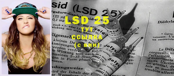PSILOCYBIN Богородск