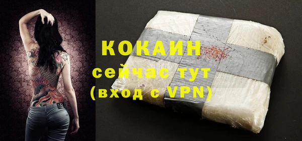 хмурый Богородицк